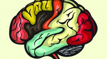 brain_numbers_FI