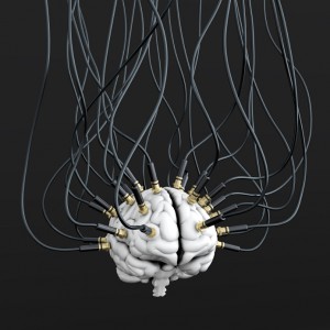 brain wiring