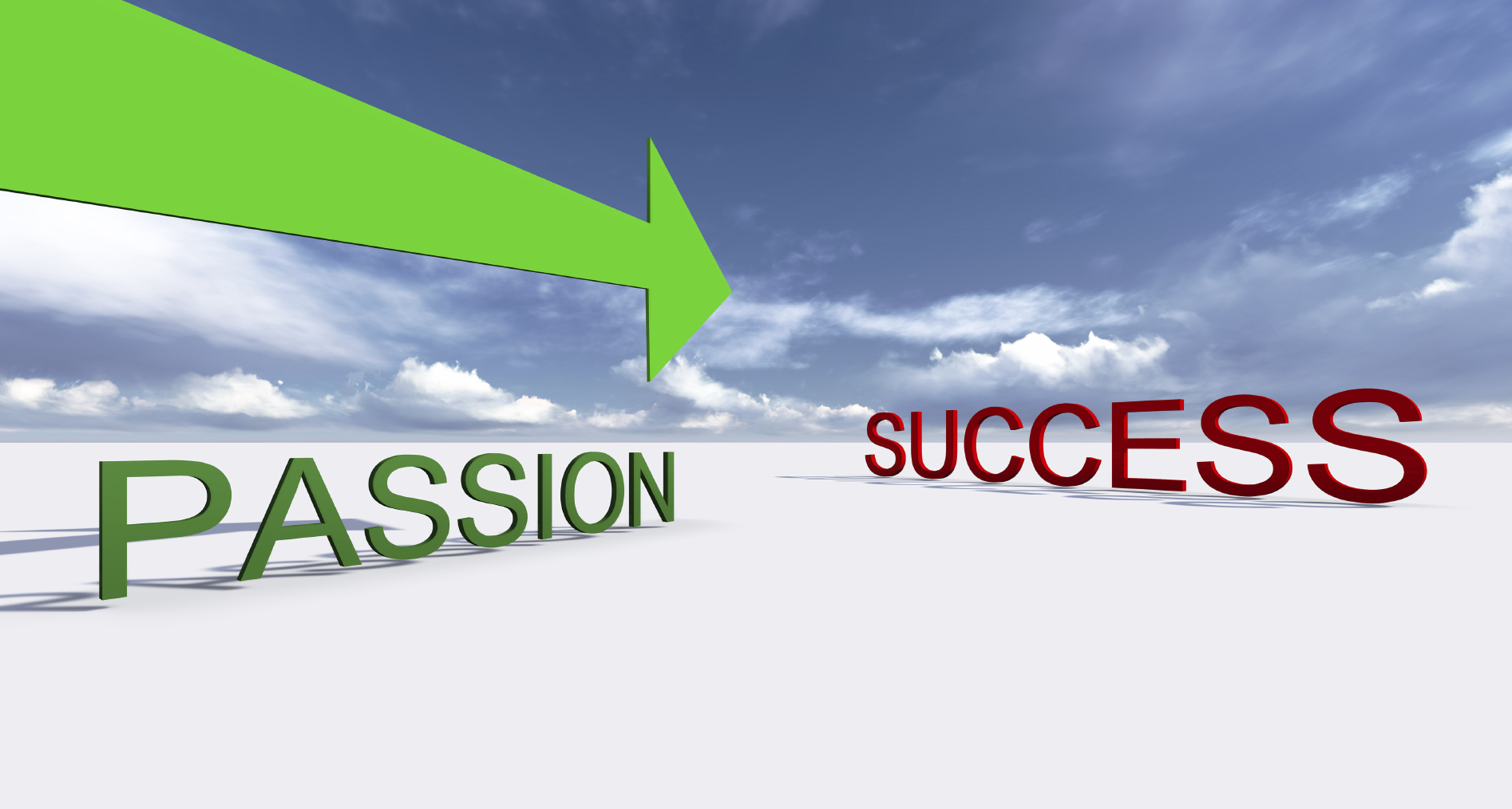 passion for success