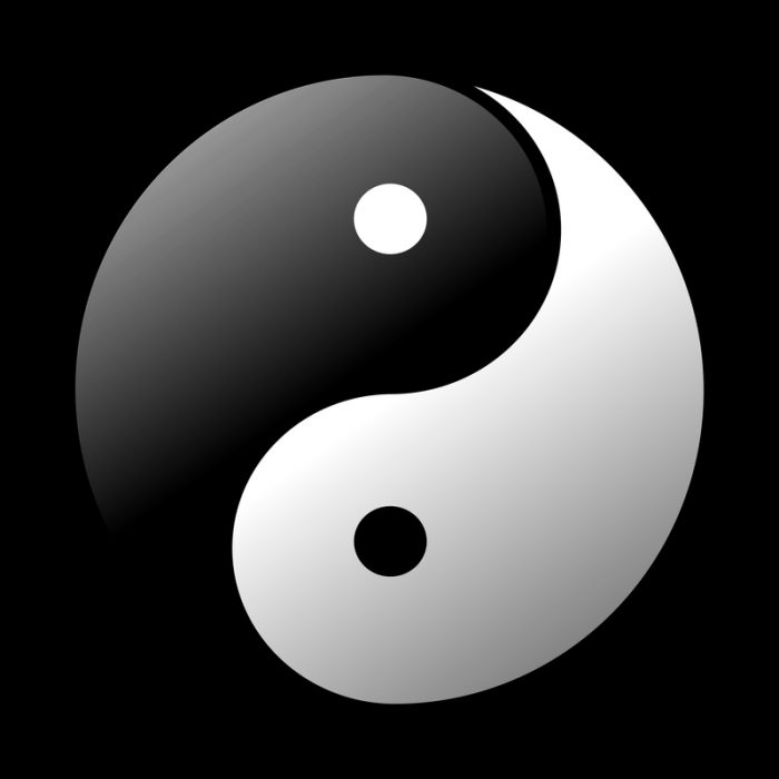 yin-yang-vector-graphic_800 | Exploring The Business Brain